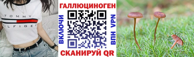 omg tor Певек Псилоцибиновые грибы прущие грибы