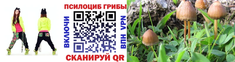 Галлюциногенные грибы GOLDEN TEACHER Певек